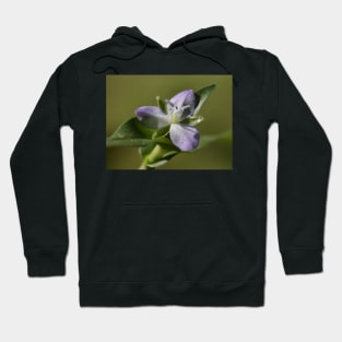 September Wildflower Hoodie